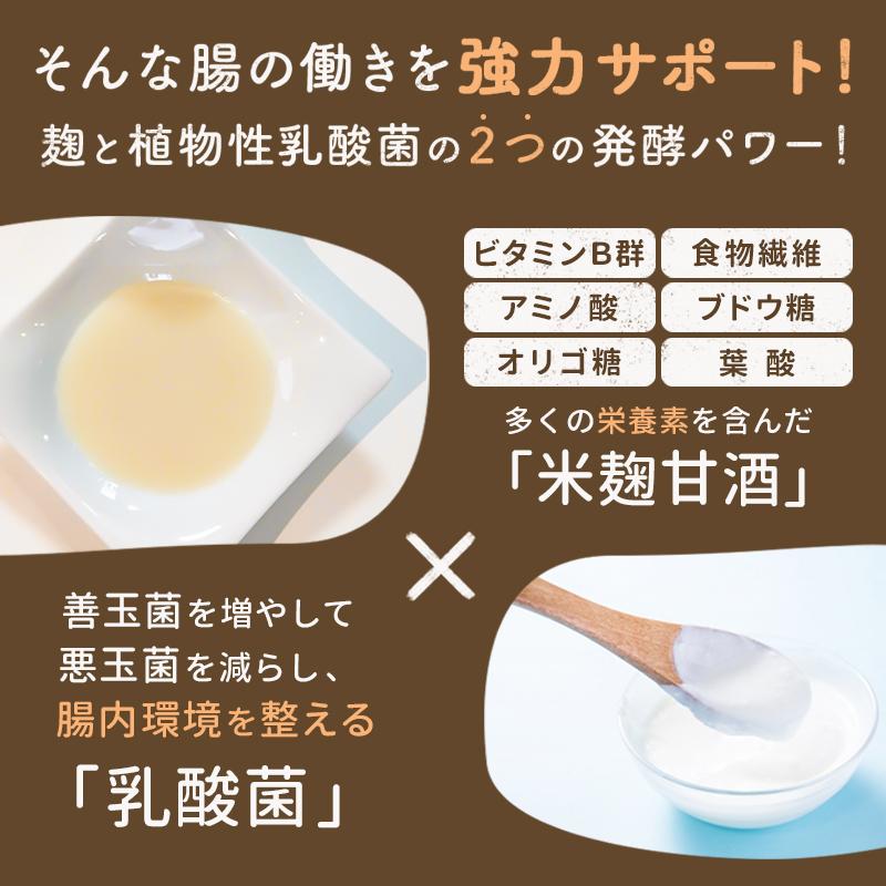 米糀ノンアルコール甘酒+乳酸菌 150g おはな -ohana- プレーン 玄米 へべす キウイ トマト ぶどう/犬 無添加 腸活 ギフト　ポイント利用 お試し商品 サンプル | iliosmile | 17