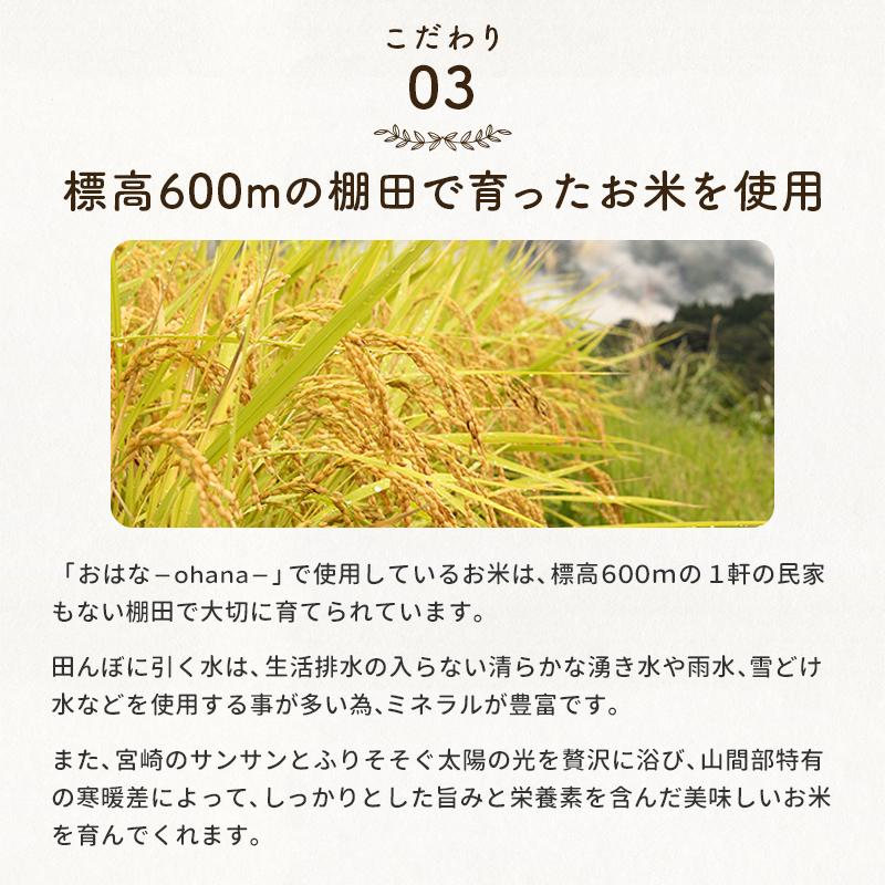 米糀ノンアルコール甘酒+乳酸菌 150g おはな -ohana- プレーン 玄米 へべす キウイ トマト ぶどう/犬 無添加 腸活 ギフト　ポイント利用 お試し商品 サンプル | iliosmile | 14