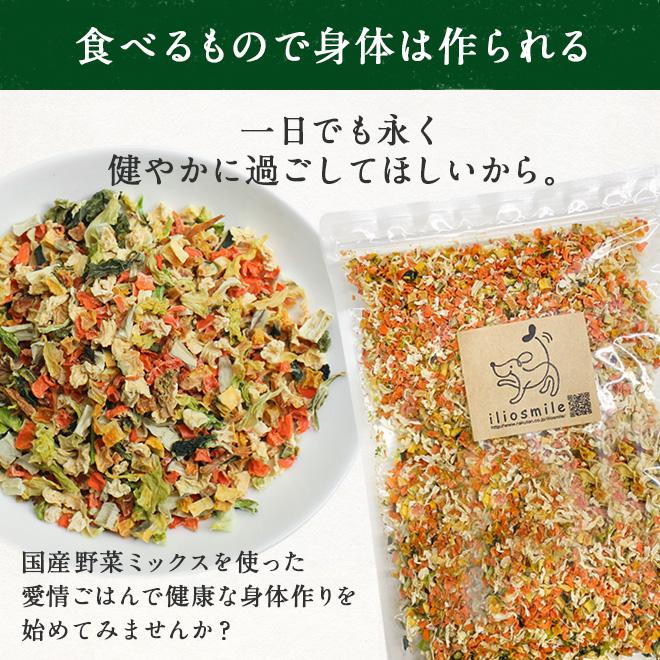 犬 ごはん 無添加 国産 乾燥野菜ミックス 200g ブドウ糖不使用/低脂肪 手作り フード ダイエット かさまし｜iliosmile｜17