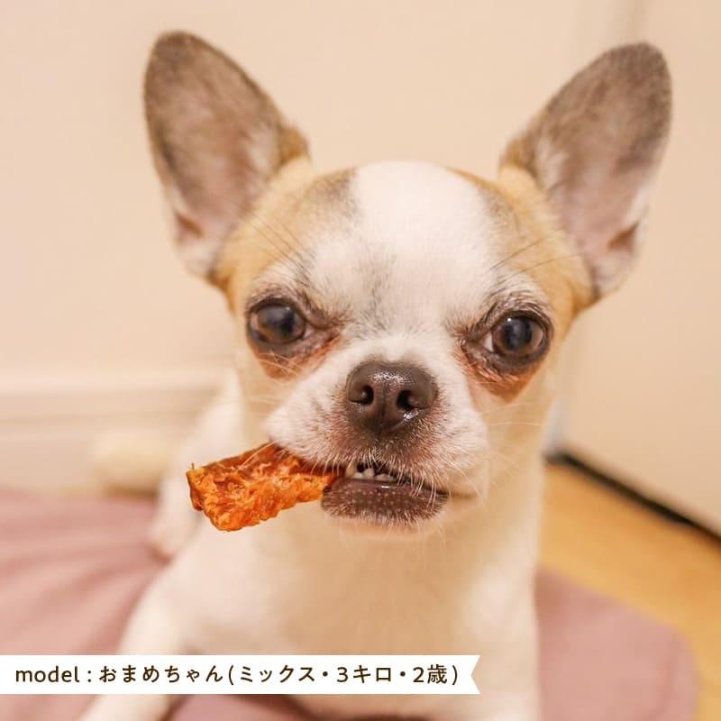 iliosmile（イリオスマイル） 犬 おやつ 無添加 北海道産 鮭とば 150g