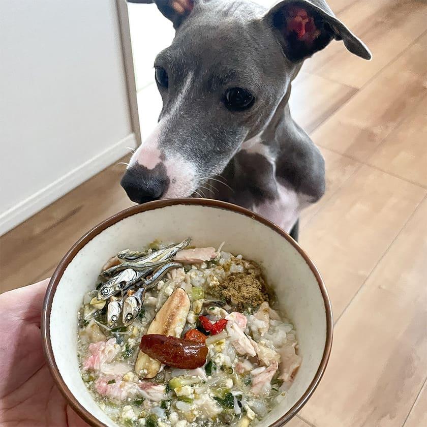 犬心 低脂肪サポート 療法食おやつ 【公式通販】