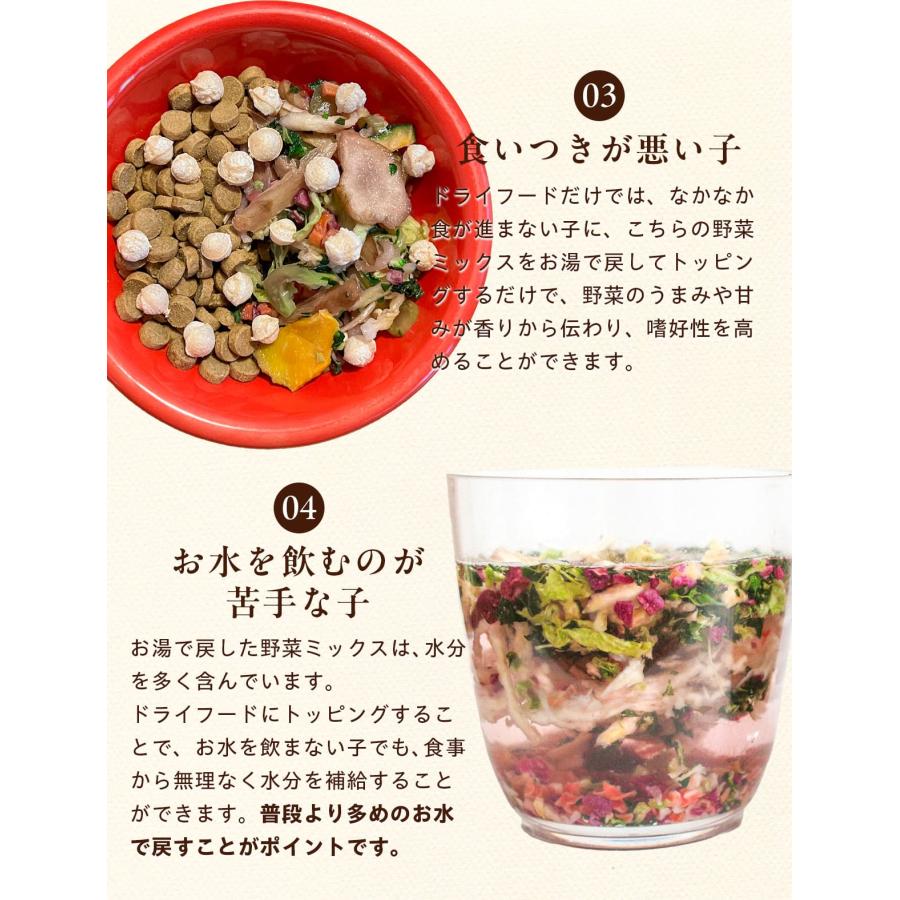 iliosmile（イリオスマイル） 犬 ごはん 無添加 国産 九州産 10種の