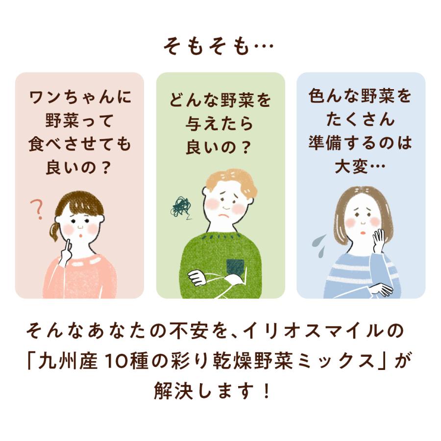 개밥무첨가 국산 큐슈산 10종의 채색 건조 야채 믹스 200 g 포도당미사용 / 펫푸드 강아지저지방 손수 만든 푸드 ｜ 이리오스마일 iliosmile