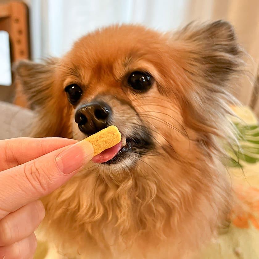 iliosmile（イリオスマイル） 犬 おやつ 無添加 pupuビスケット