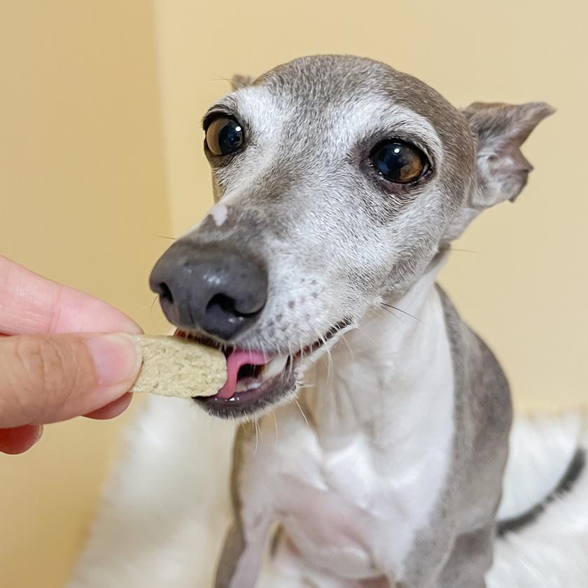 iliosmile（イリオスマイル） 犬 おやつ 無添加 pupuビスケット