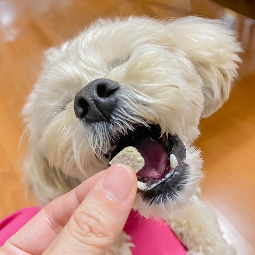 iliosmile（イリオスマイル） 犬 おやつ 無添加 pupuビスケット