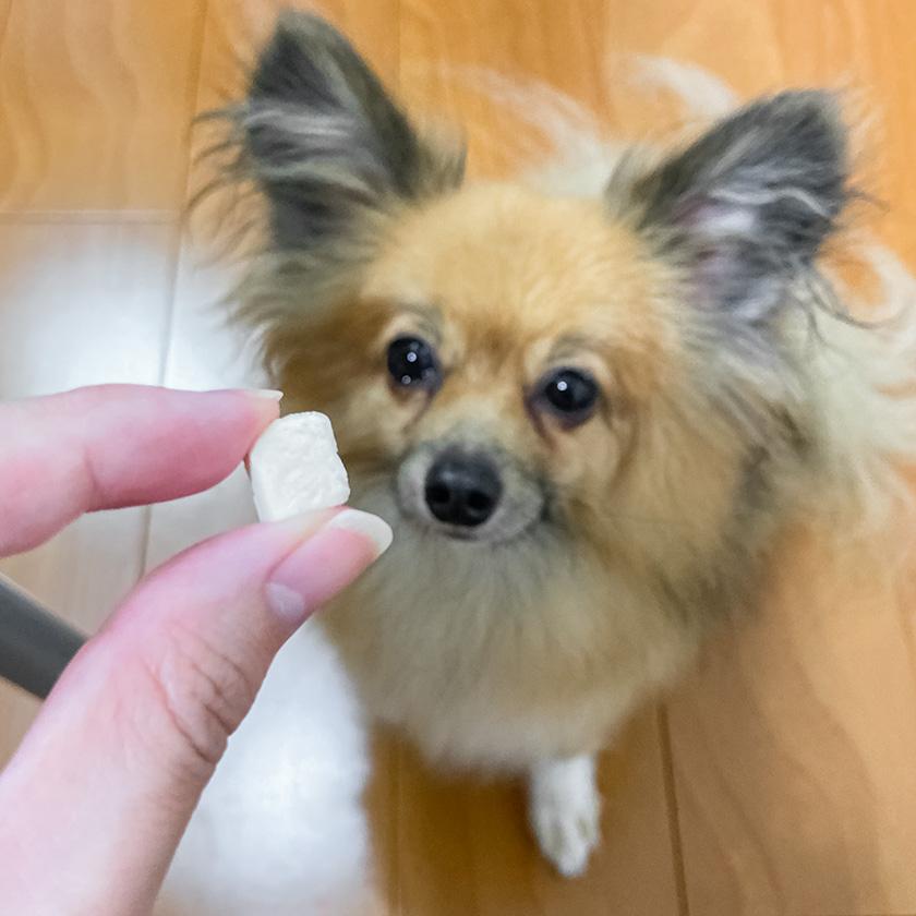iliosmile 犬 おやつ 国産 フリーズドライ 豆腐 50g/低脂肪 iliosmile 犬 おやつ 国産 フリーズドライ 豆腐 50g/低脂肪