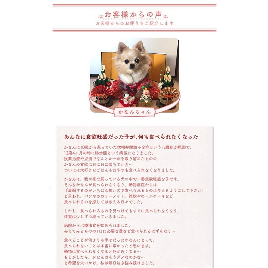 まとめ買い 犬 ミルク 無添加 オランダ産 オーガニックヤギミルク 0g 5個セット Milk01 Sale 5set 犬用自然派おやつ専門店iliosmile 通販 Yahoo ショッピング