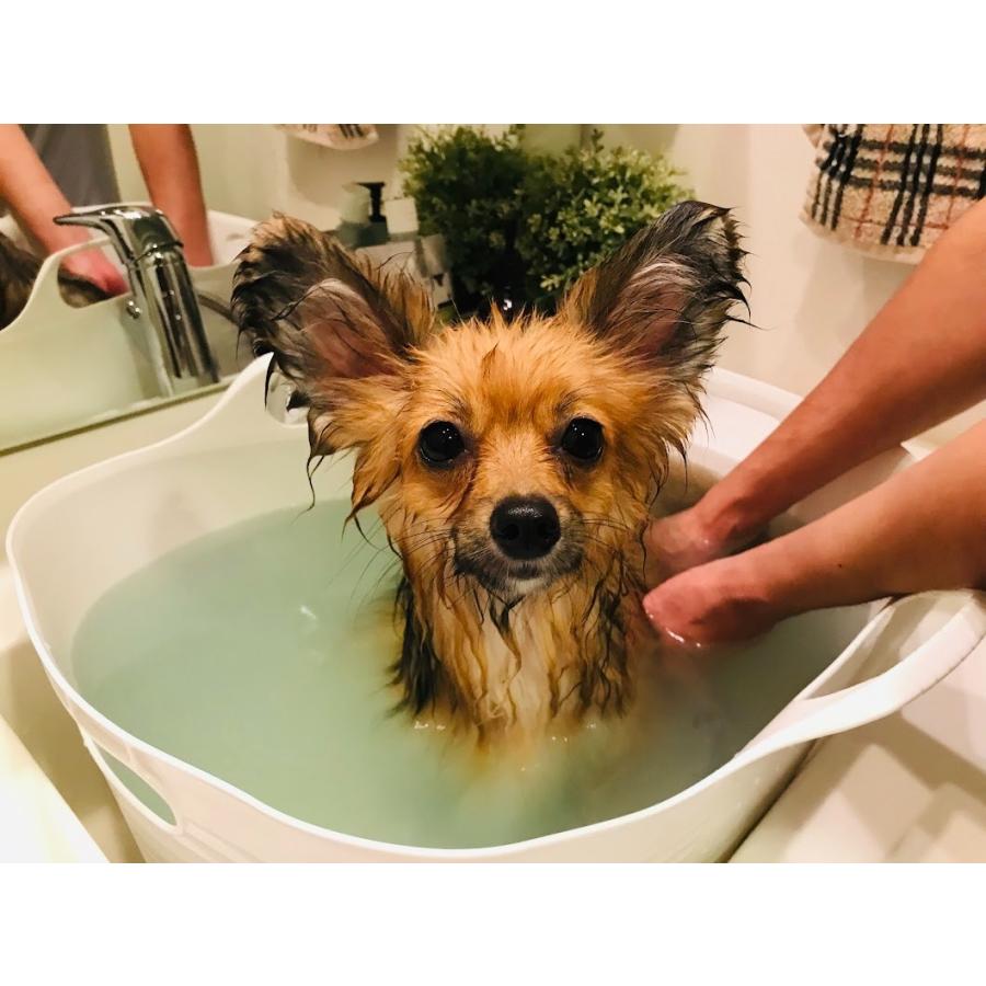 犬 入浴剤 低刺激 アレルギー 無添加 ニームアロマシリーズ EM&NEEM BATH 500ml イリオスマイル 虫除け　爆買 ｜ イリオスマイル |  | 01