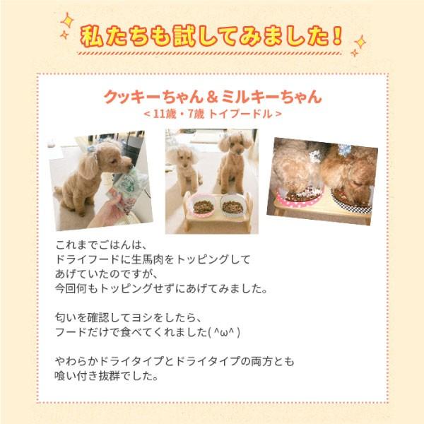 Yum Yum Yum ヤムヤムヤム チキン やわらかドライタイプ 800g/犬 ペット 半生 国産 ごはん 鶏 セミモイスト｜iliosmile｜06