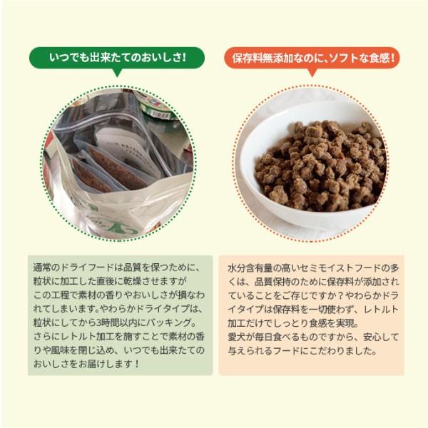 ヤムヤムヤム Yum マグロ やわらかドライタイプ 800g/80g×10/犬