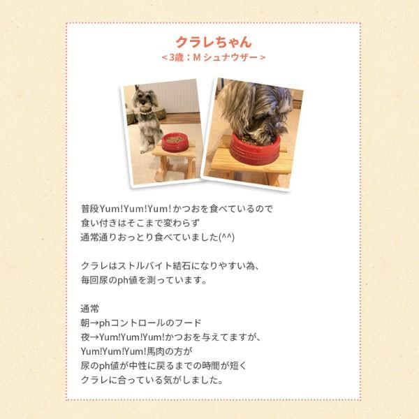 犬 ドッグフード お試し 国産 Yum Yum Yum ヤムヤムヤム 馬肉 やわらかドライタイプ 80g イリオスマイル ポイント消化 :r20080: 犬用自然派おやつ専門店iliosmile - 通販 - Yahoo!ショッピング 犬 ドッグフード お試し 国産 Yum Yum Yum ヤムヤムヤム 馬肉 やわらかドライタイプ 80g イリオスマイル ポイント消化 :r20080: 犬用自然派おやつ専門店iliosmile - 通販 - Yahoo!ショッピング