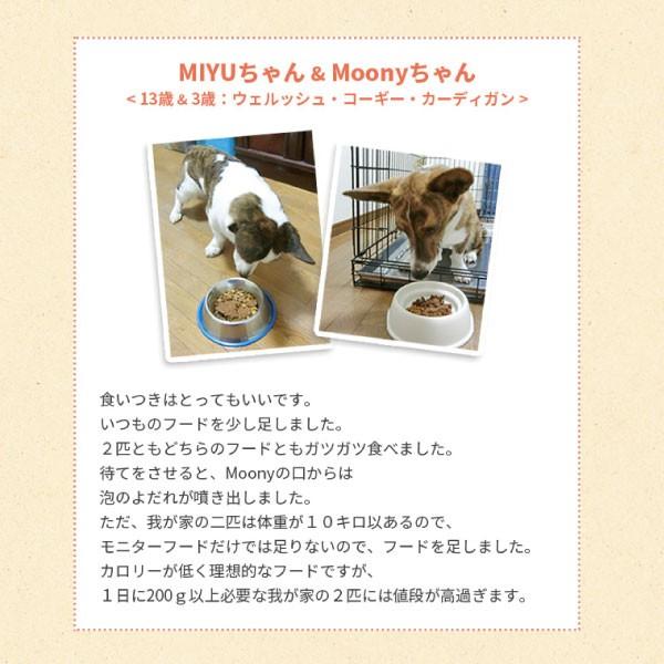 犬 ドッグフード お試し 国産 Yum Yum Yum ヤムヤムヤム 馬肉 やわらかドライタイプ 80g イリオスマイル ポイント消化 :r20080: 犬用自然派おやつ専門店iliosmile - 通販 - Yahoo!ショッピング 犬 ドッグフード お試し 国産 Yum Yum Yum ヤムヤムヤム 馬肉 やわらかドライタイプ 80g イリオスマイル ポイント消化 :r20080: 犬用自然派おやつ専門店iliosmile - 通販 - Yahoo!ショッピング