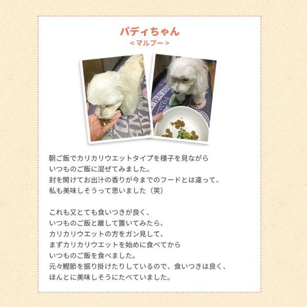 犬 ドッグフード お試し 国産 Yum Yum Yum ヤムヤムヤム 馬肉 やわらかドライタイプ 80g イリオスマイル ポイント消化 :r20080: 犬用自然派おやつ専門店iliosmile - 通販 - Yahoo!ショッピング 犬 ドッグフード お試し 国産 Yum Yum Yum ヤムヤムヤム 馬肉 やわらかドライタイプ 80g イリオスマイル ポイント消化 :r20080: 犬用自然派おやつ専門店iliosmile - 通販 - Yahoo!ショッピング