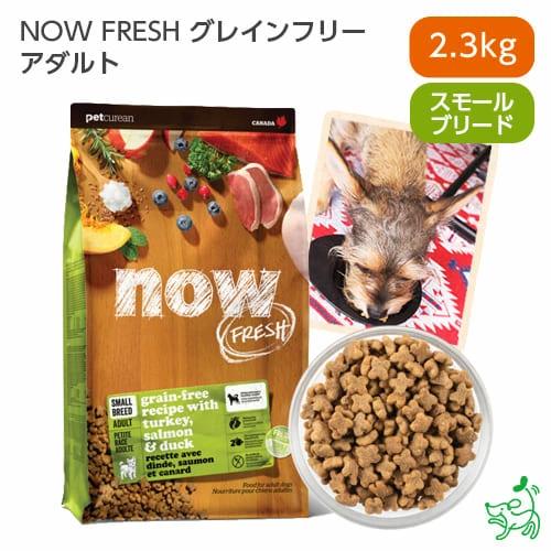 NOW FRESH ナウフレッシュ グレインフリー 小粒 スモールブリード