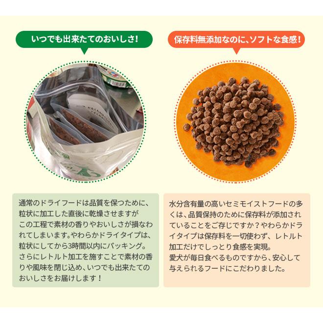 ヤムヤムヤム Yum シニア&ライト 馬肉 やわらかドライタイプ 80g ヤムヤムヤム Yum シニア&ライト 馬肉 やわらかドライタイプ 80g