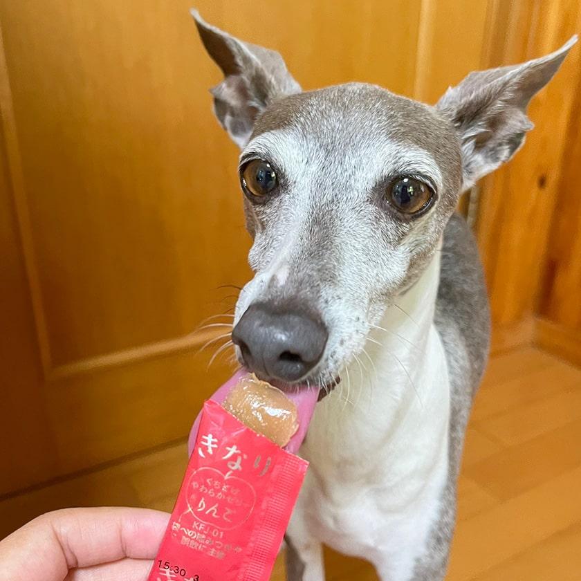 犬 おやつ 無添加 国産 きなり くちどけやわらかゼリー もも 5g×10本