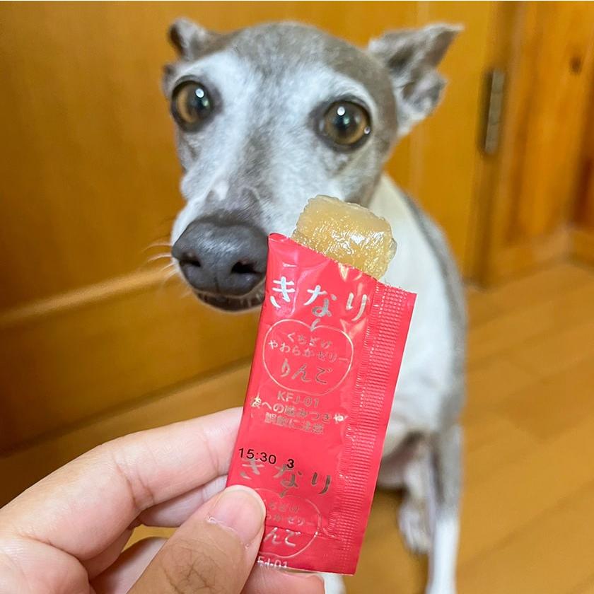 犬 おやつ 無添加 国産 きなり くちどけやわらかゼリー りんご