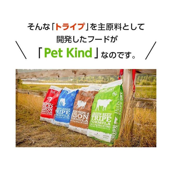 ペットカインド Pet Kind グレインフリー トライプドライGL SAPグリーンラムトライプ 小粒 2.72kg /犬 ごはん｜iliosmile｜09