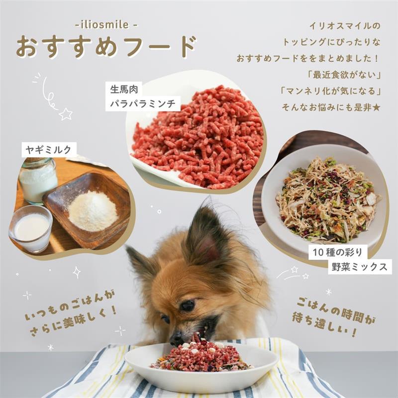 犬 無添加 国産 手作り ごはんの具 養生野菜 1050g/ 低脂肪