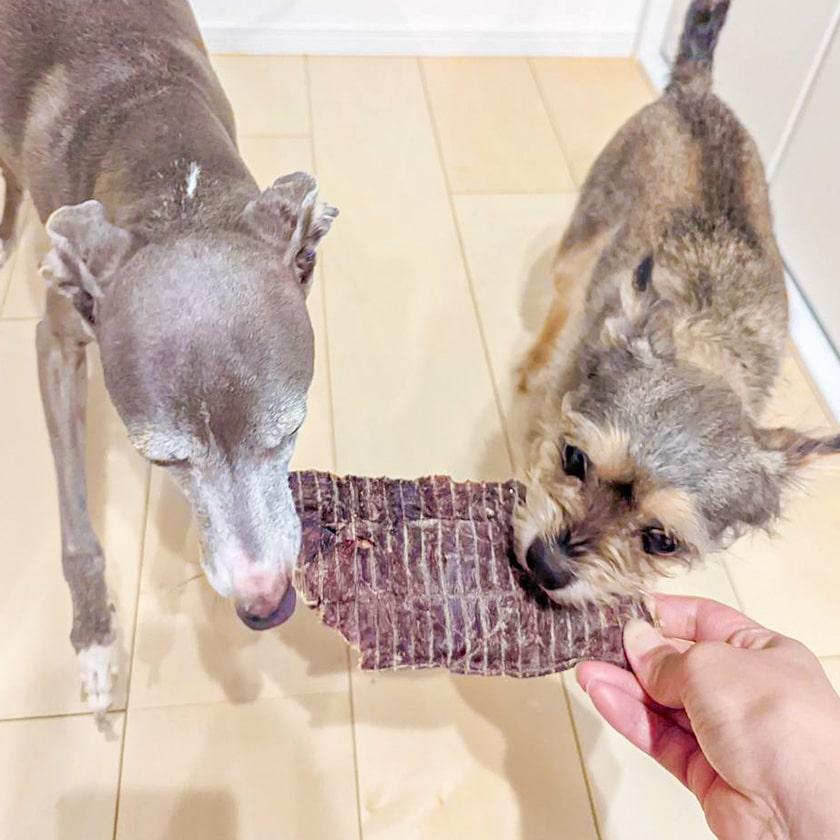 犬 おやつ 無添加 国産 鹿肉 ジャーキー 兵庫産 ニホン鹿の干し肉 50g イリオスマイル Ts0001 犬用自然派おやつ専門店iliosmile 通販 Yahoo ショッピング