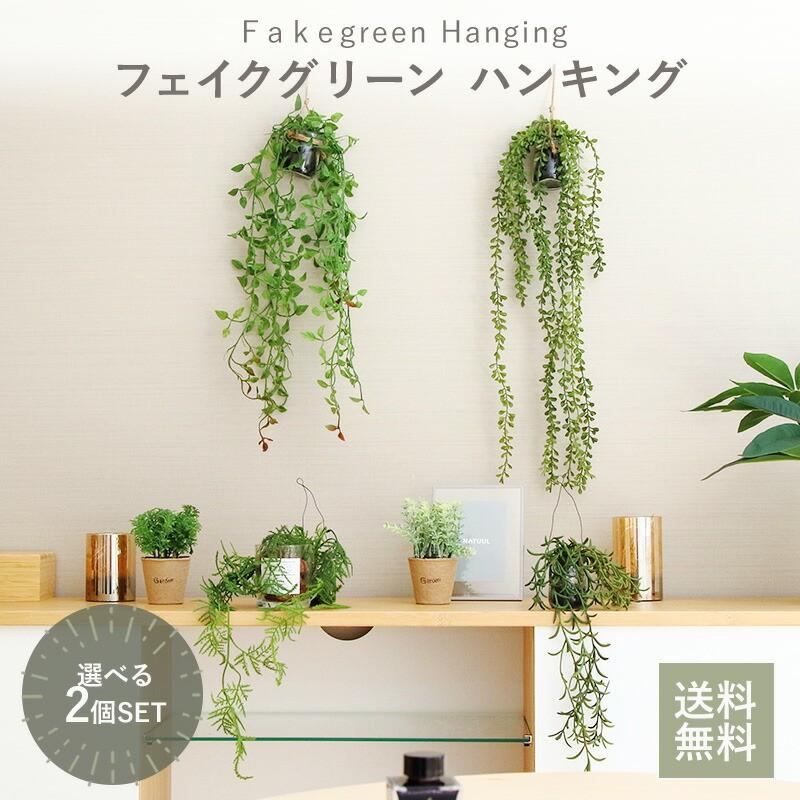 屋外用吊り下げ多肉植物セダムモルガニアナムロバテール