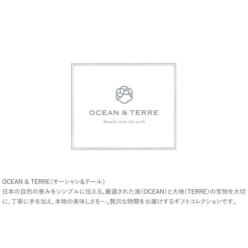 お茶漬け 最中 プチ ギフト 贈り物 縁起物 内祝い OCEAN ＆ TERRE 富士山style お茶漬け最中セットB A533｜ilovebaby｜05