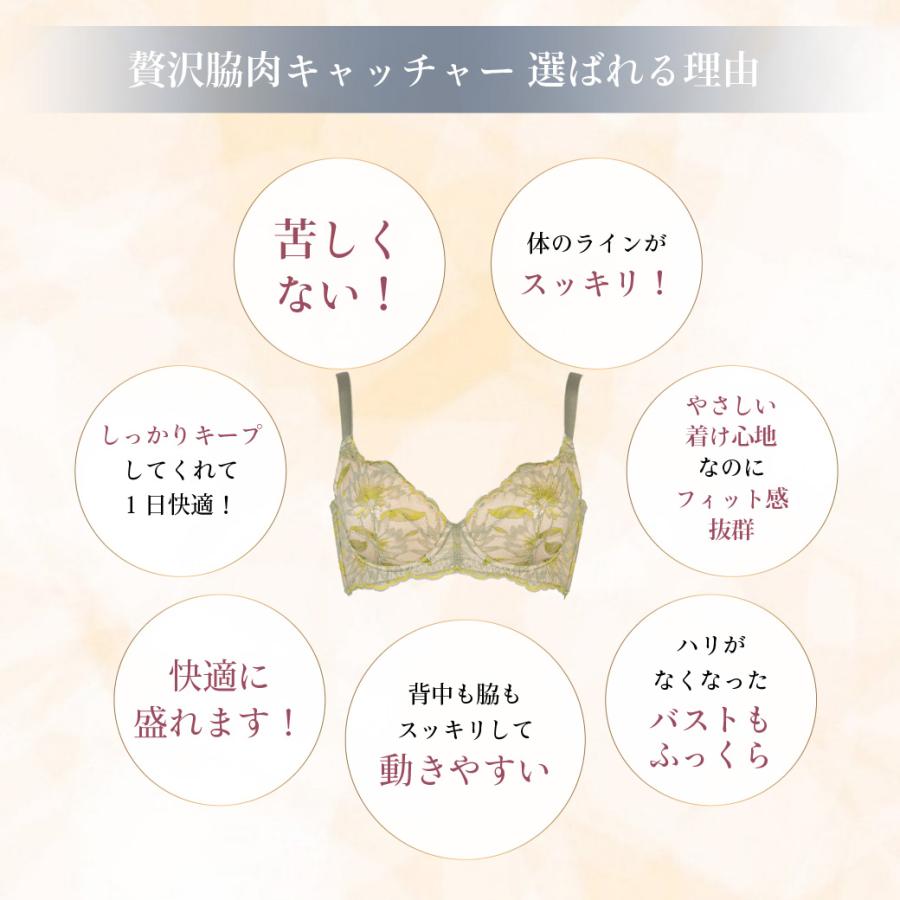 HEAVEN Japan ヘブンジャパン ブラ ジャー 育乳 脇高 脇肉 大きい