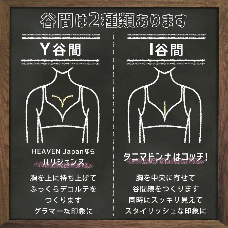 ブラ ショーツ2色セット 上下セット ブラジャー 脇肉 バストアップ 育乳 補正 補整 下着 脇高 谷間 背中 寄せ 返品交換無料 タニマドンナ 3021bbss Heaven Japan ヤフー店 通販 Yahoo ショッピング