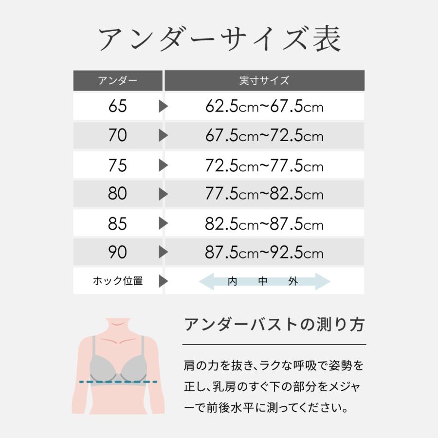 ブラジャー ショーツセット 大きいサイズ ノンパテッド 脇高 育乳 ノーパッド ノンパッド ノンパット パッドなし レース 下着 涼しい 軽い 透け SELFITBRAの画像