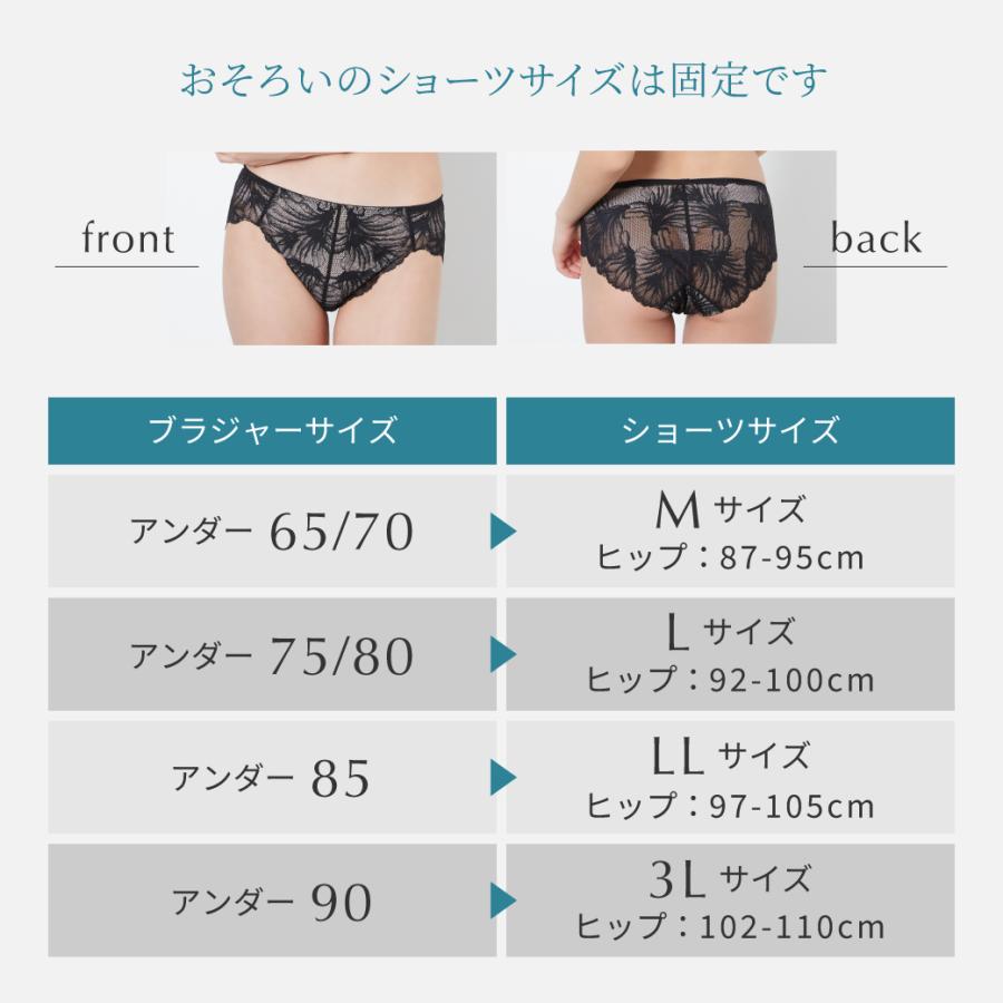 ブラジャー ショーツセット 大きいサイズ ノンパテッド 脇高 育乳 ノーパッド ノンパッド ノンパット パッドなし レース 下着 涼しい 軽い 透け SELFITBRAの画像