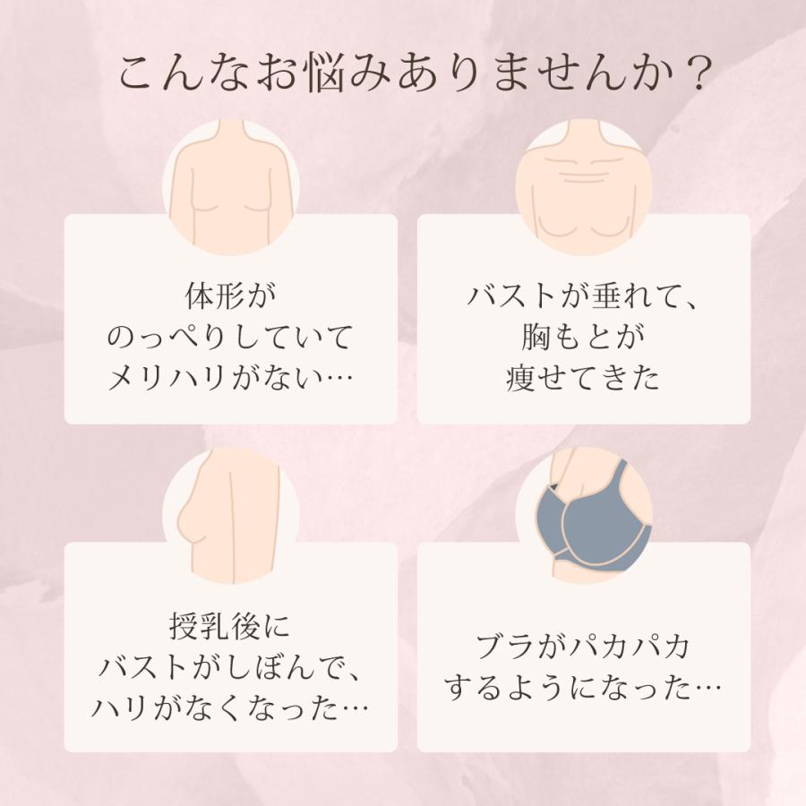 heaven japan ヘブンジャパン シン・胸不二子ブラ ブラジャー 大きい サイズ 脇高 ブラ 下垂 補整 補正 下着 脇肉 爆買の画像