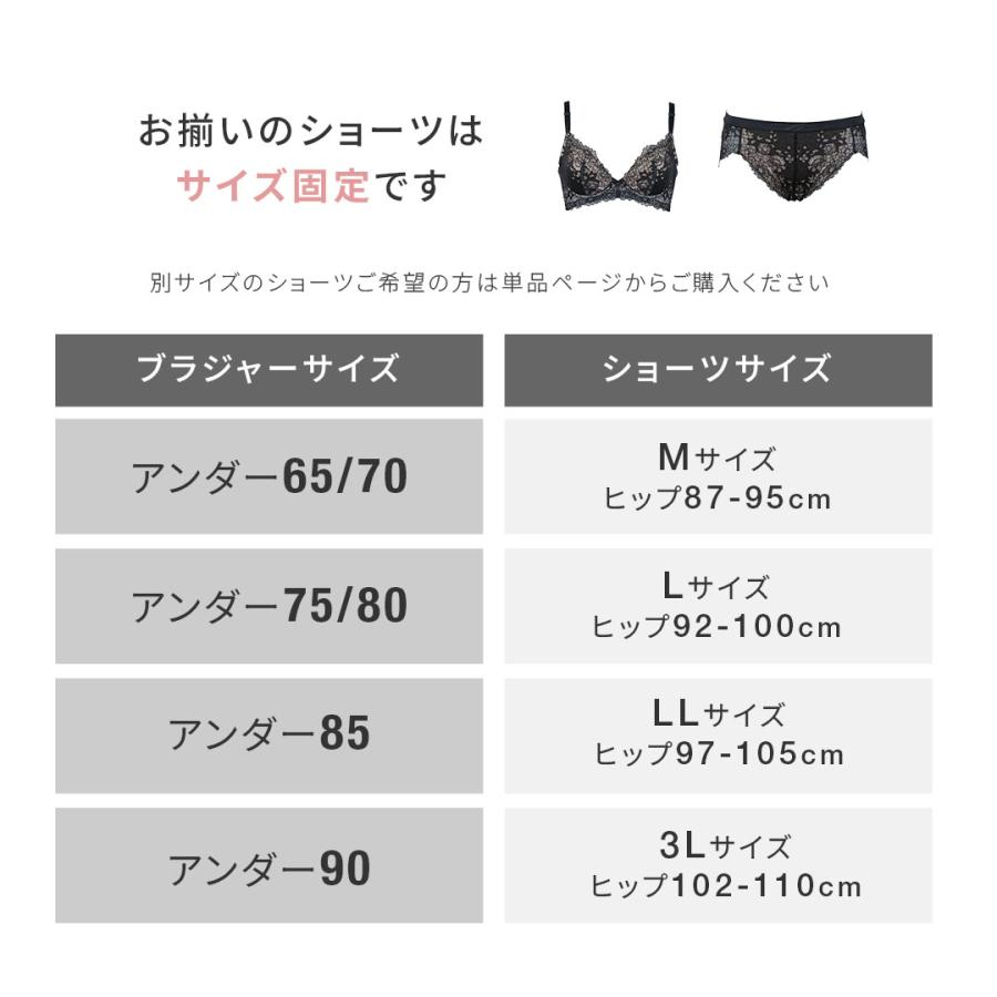 育乳ブラ Lサイズ ブラック他 4点セット HEAVEN Japan ブラジャー ショーツセット 谷間 育乳ブラ 育乳 脇高ブラ