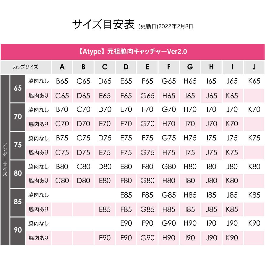 分布 バスト サイズ