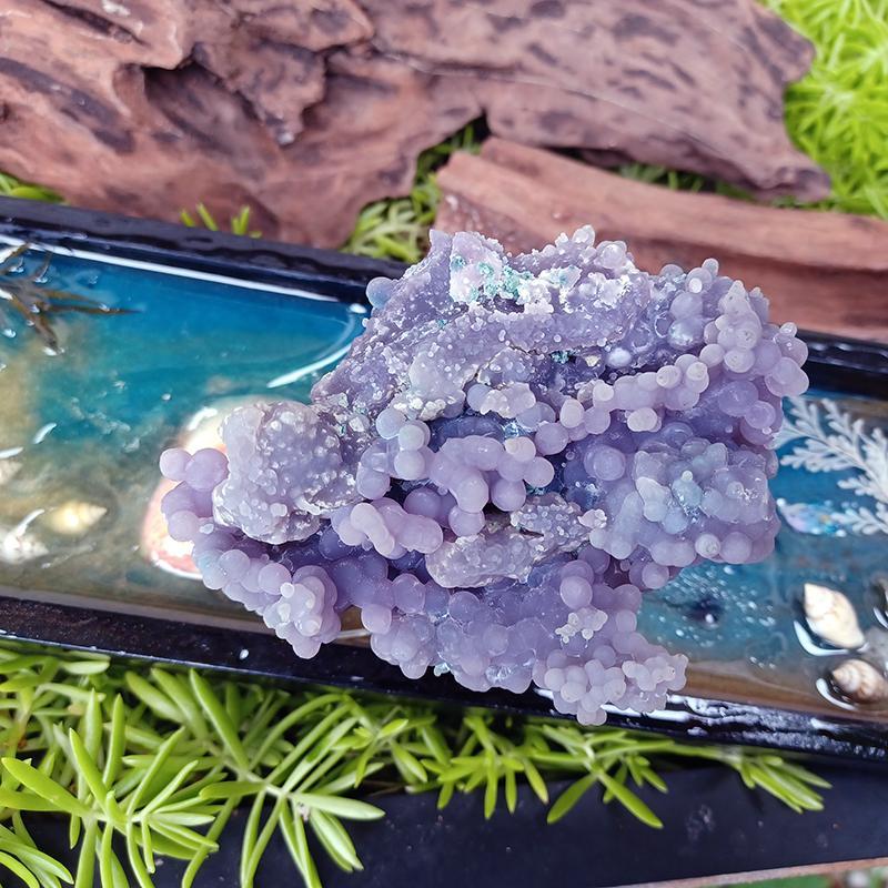 グレープカルセドニー鉱物 『カーリー深海魚』一点もの 無加工無着色
