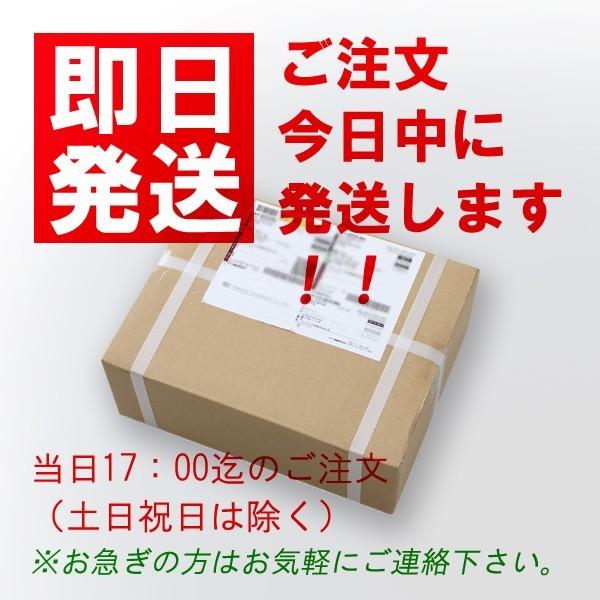 染めQ ブラック264ml-6ｐセット 人気の良く染まる カラースプレー｜ilsung-y｜02