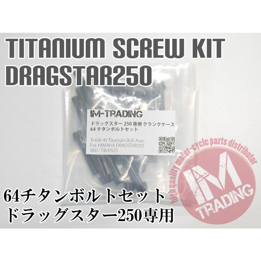 輝く高品質な ドラッグスター250専用 64チタン製 クランクケースボルトセット 23本 テーパーキャップ ブラック 黒 Ti 6al 4v 再再販 Studiostodulky Cz