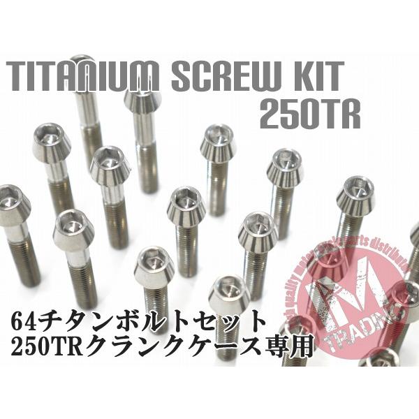 250TR専用 64チタン製 クランクケースカバーボルトセット 27本 テーパーキャップ 焼き色なし Ti-6Al-4V エンジンカバーボルト