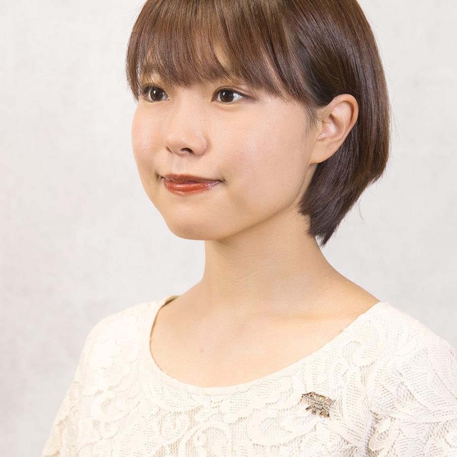 うりぼう の ビジュー アクセサリー バッジ ラインストーン ブラウン ベージュ 150787 メール便  イマックジュエリー公式 爆買 | ブランド登録なし | 05