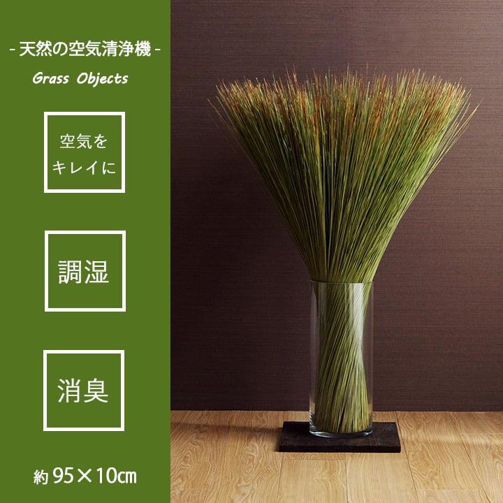 インテリア オブジェ い草 植物 置物 消臭 国産 日本製  空気清浄 ナチュラル 95×10cm｜imadoki-dept｜02