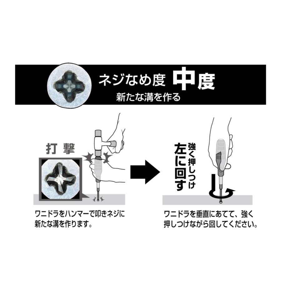 ANEX ワニドラセット ビスブレーカードライバー なめたネジ外し なめた