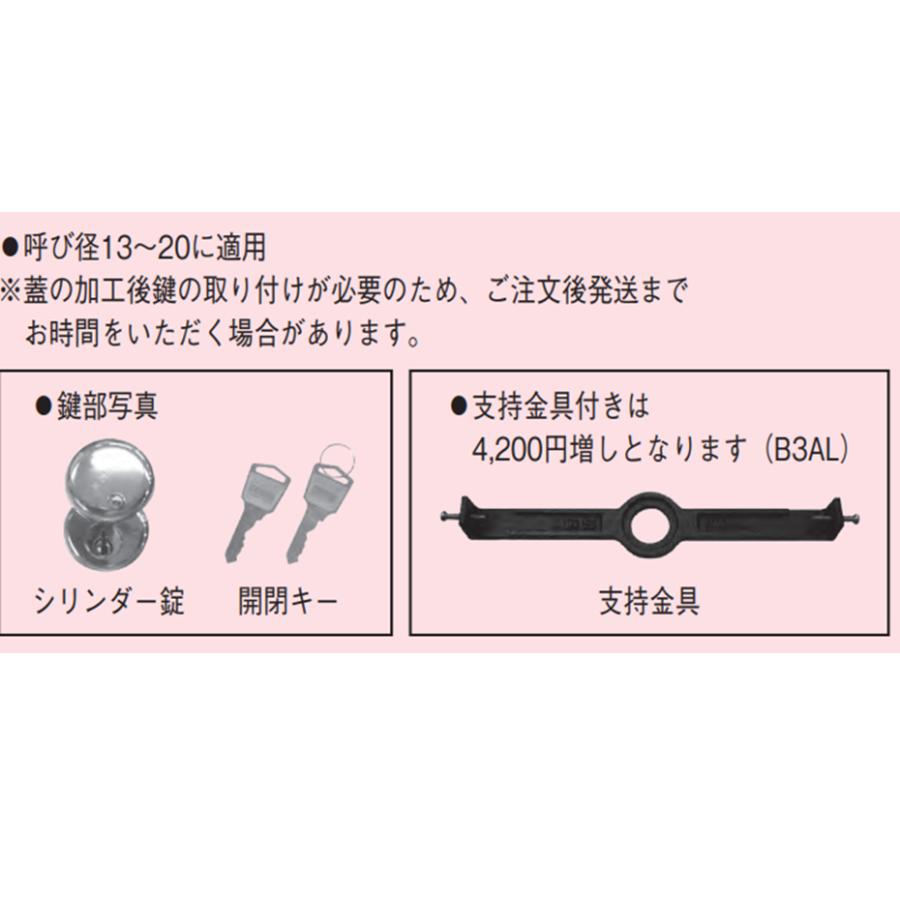 伊藤鉄工 B3ANK 13 20 鍵付き散水栓ボックス バルブボックス 鋳鉄製