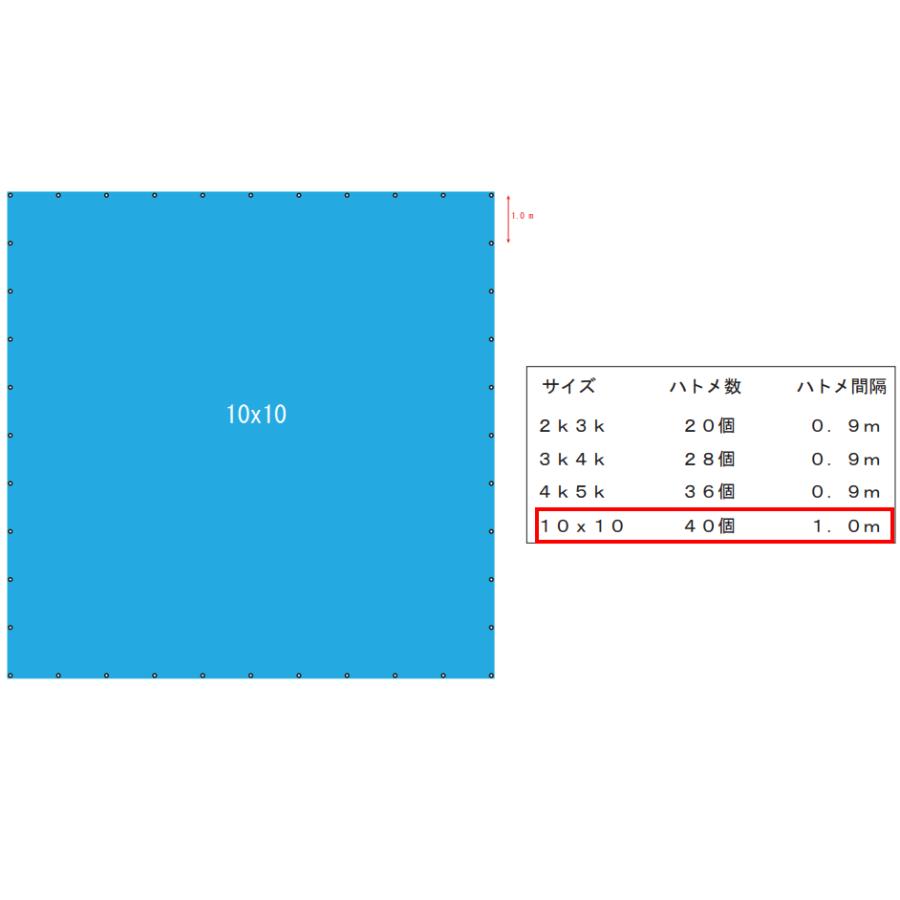 ブルーシート 10m×10m #3000 厚手 1枚 10×10 ハトメ付き 風雨除け 養生
