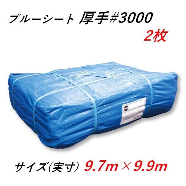 ブルーシート 9.7m×9.9m 厚手 #3000 2枚 10×10 ハトメ付き 風雨除け 
