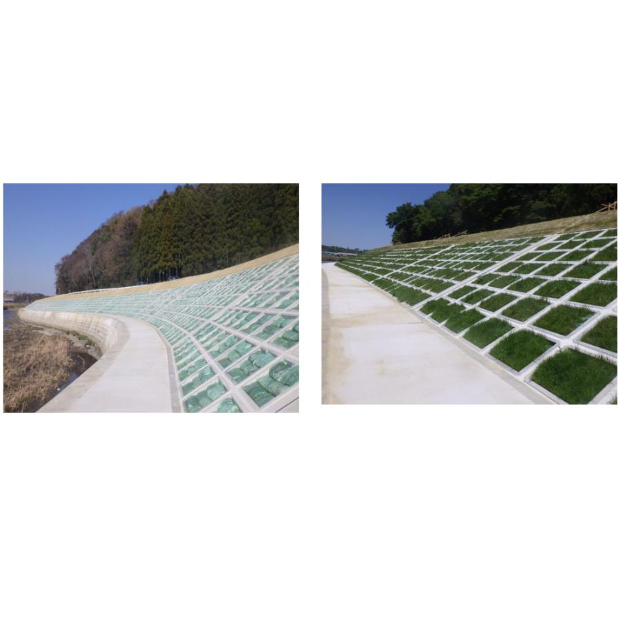 植生土のう 100枚入り ロンタイ グリーンバッグ 送料無料 : 今戸屋建材