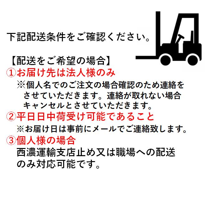 レンガ 210mm×100mm×60mm 組積用 両面タイプ ヒット加工 マッシュ 