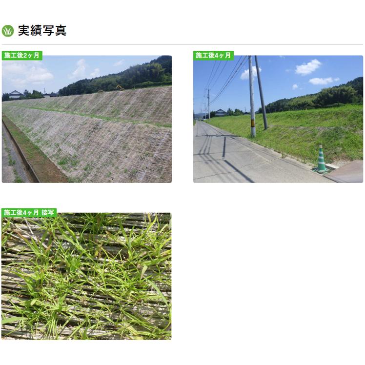 ロンタイ ロンケット デ アグリーン 1m×15m 15平米分 自然分解型張芝 ワラ製品 盛土用 目串付 植生マット_7