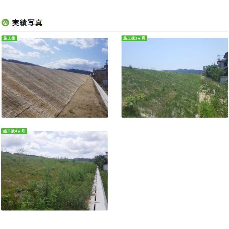 ロンタイ ロンケット デ アグリーン 1m×15m 15平米分 自然分解型張芝 ワラ製品 盛土用 目串付 植生マット_9