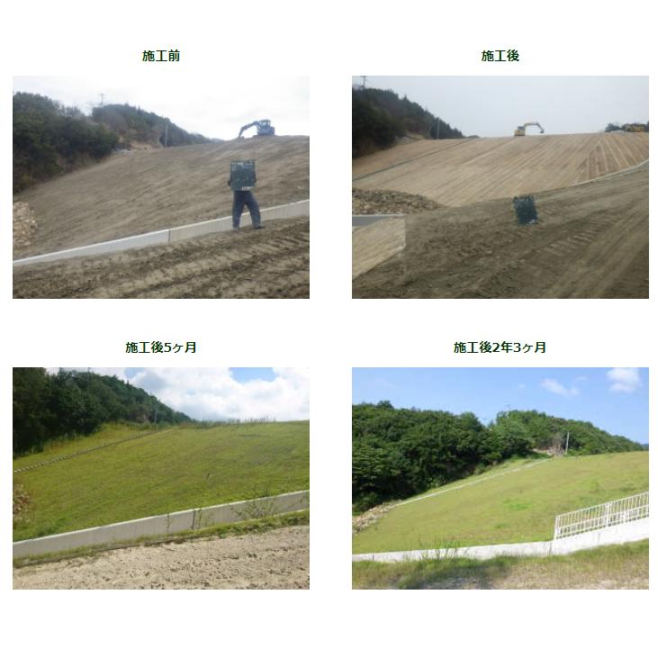 ロンタイ ロンケットキーパー 1m×20m 20平米分 浸食防止 ワラ