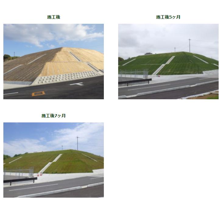 ロンタイ ロンケットキーパー 1m×20m 20平米分 浸食防止 ワラ製品 盛土